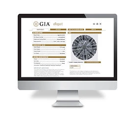 iMac_eReport_HiRes.jpg